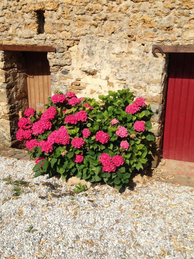 Le Clos De La Viniere ฌาร์ด-ซัวร์-แมร์ ภายนอก รูปภาพ